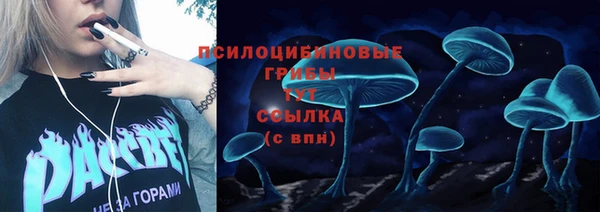 таблы Карпинск