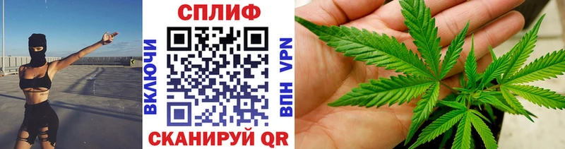 Шишки марихуана Bruce Banner  Купить где  Сибай 